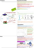 AS Macro Economics Flash Cards