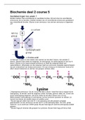 Biochemie course 5 deel 2 leerjaar 2