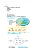 HC2 Cellulaire besluitvorming 