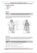 Samenvatting - Biologie (bvj) - HAVO/VWO 1 - thema 3 - organen en cellen (compleet)