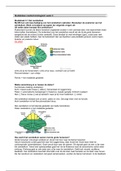 MB Studietaken week 3 (blok 2.3)