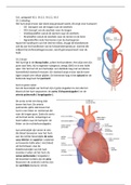 Biomedisch samenvatting blok B Jaar 1. incl. colleges en informatie uit de verwerkingsvragen