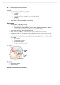 HC 4 Neuroimaging bij angststoornissen