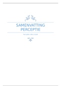 Samenvatting blok 2.4 Perceptie: Perception