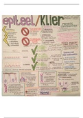 Mindmaps Histologie