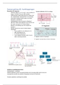Samenvatting A5 Hartkloppingen