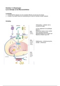 Les 5 Nutrition - Fysiologie 1.2 