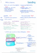 Pädagogische Psychologie des Lehren und Lernens 1 Zusammenfassung (Stegmann)