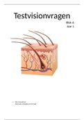 Testvision vragen uit jaar 1 (A1, B1, C1 & D1)