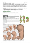 ZSO 3.4 [Embryologie voordarm] E-learning