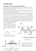 Fisiología Vegetal