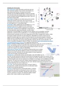 Systeembiologie deeltoets 1