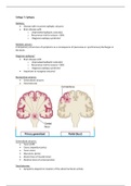 HC 7 Epilepsy