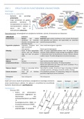 Samenvatting Klinische microbiologie 2e bach BMW UHasselt