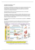 Hoorcollege parasympaticus & sympaticus