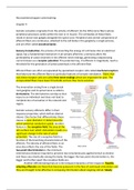 Samenvatting Neurowetenschappen