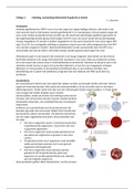 Volledige samenvatting Infecties & tumoren