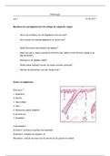 C1- Pathologie