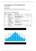 Samenvatting Practicum test- & vragenlijstgebruik