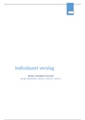 Individueel eindverslag project jongeren in de wijk