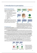 Samenvatting Senstation and Perception E. Bruce Goldstein