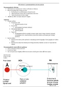 Parasympathetic nervous system