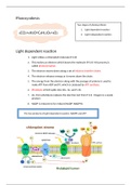 Photosynthesis- Light dependent and light independent reaction