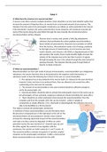 BBS1004 Summary of the Cases