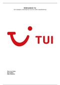 Leisure Strategy TUI