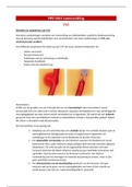 Neuropsychologie NAH samenvatting