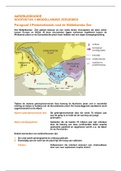 Aardrijkskunde - Klas 6 - Hoofdstuk 3 - Middellandse Zeegebied