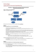 Samenvatting en werkcolleges Capita Selecta Vennootschapsbelasting