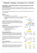 MOLECULEN - Metabolisme - Hoorcollege 6 t/m 10 - 2017/2018