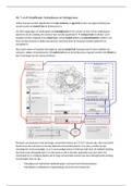 HC 7 en 8 metabolisme vetafbraak, vetopbouw en ketogenese