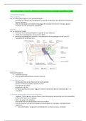 Samenvatting H-8: De Klassieke Zintuigen voor AFPF, HBO-V
