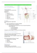 Samenvatting H-12: Het Spijsverteringsstelsel voor AFPF, HBO-V