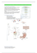 Samenvatting H-1: Inleiding tot het menselijk lichaam / chemie van het leven voor AFPF, HBO-V