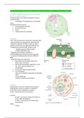 Samenvatting H-3: Cellen, weefsels en structuur van het lichaam voor AFPF, HBO-V