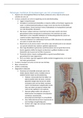 pathologie hoofdstuk 10: aandoeningen van het urinewegstelsel   woordenlijst latijn- nederlands