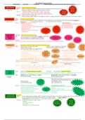 Hypertension Drugs