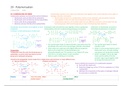 Chapter 29 - Polymerisation