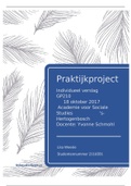 Individueel verslag praktijk project