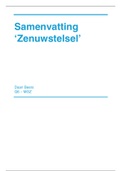 Samenvatting - Zenuwstelsel