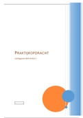 Praktijkopdracht leidinggeven 849J10