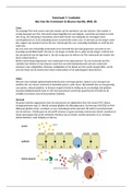 Leerjaar 1, course BM4, tutor weektaak 7 Darmproblemen, Coeliakie