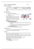 Automated External Defibrillation (AED)