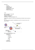 Nucleaire Geneeskunde periode 4