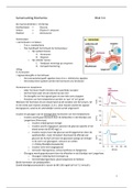 Complete Samenvatting Beroepsvoorbereiding 2 (Blok 3.4)