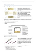 Biologie nectar samenvatting hs 5