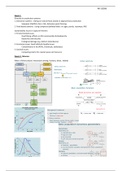 Samenvatting (colleges, tutorials, practicals) AFI-20306 (Aquaculture and Fisheries)